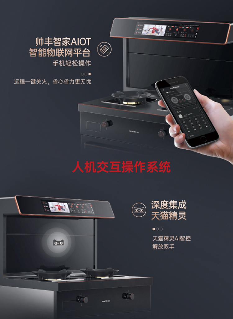 X6一腔双烤集成灶
