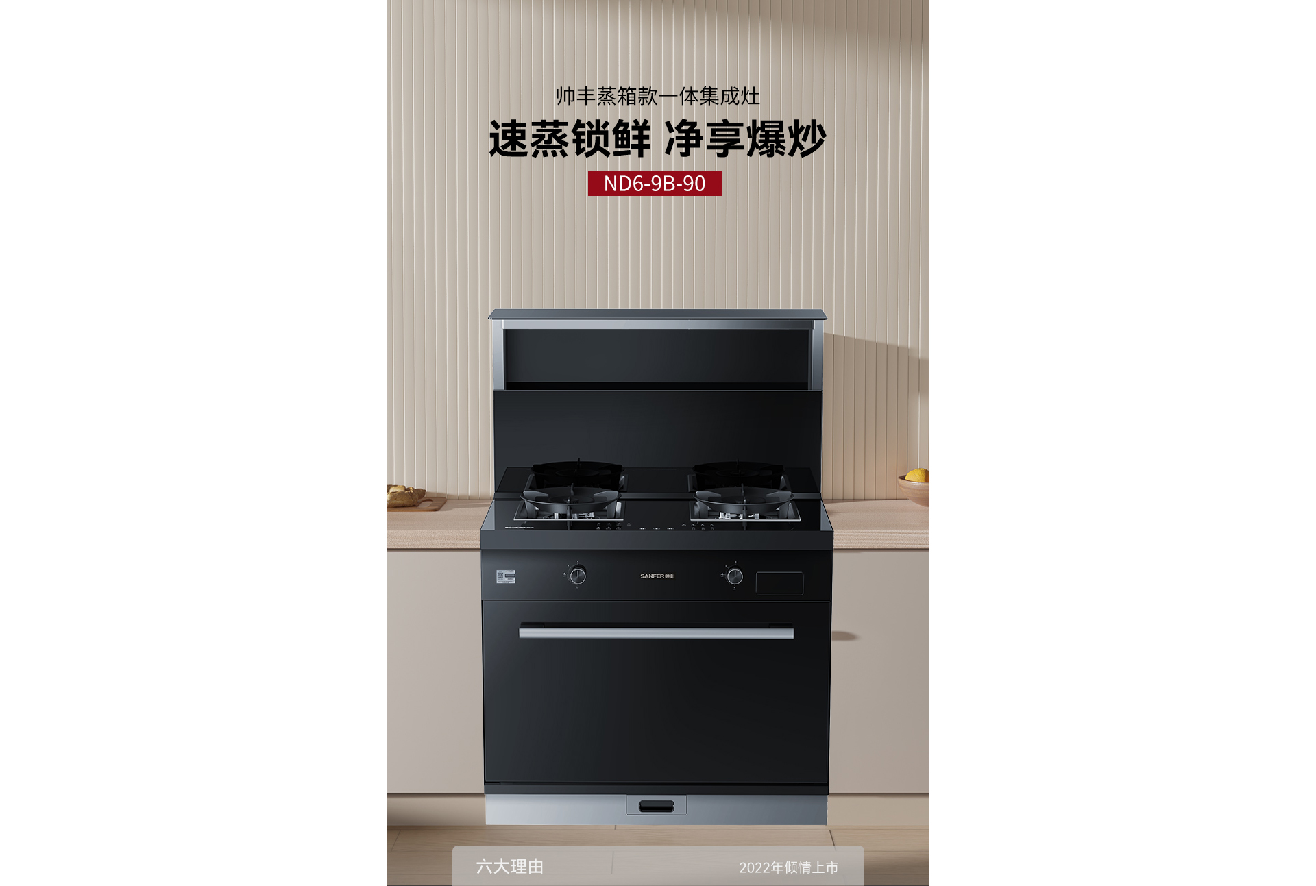 ND6蒸箱款