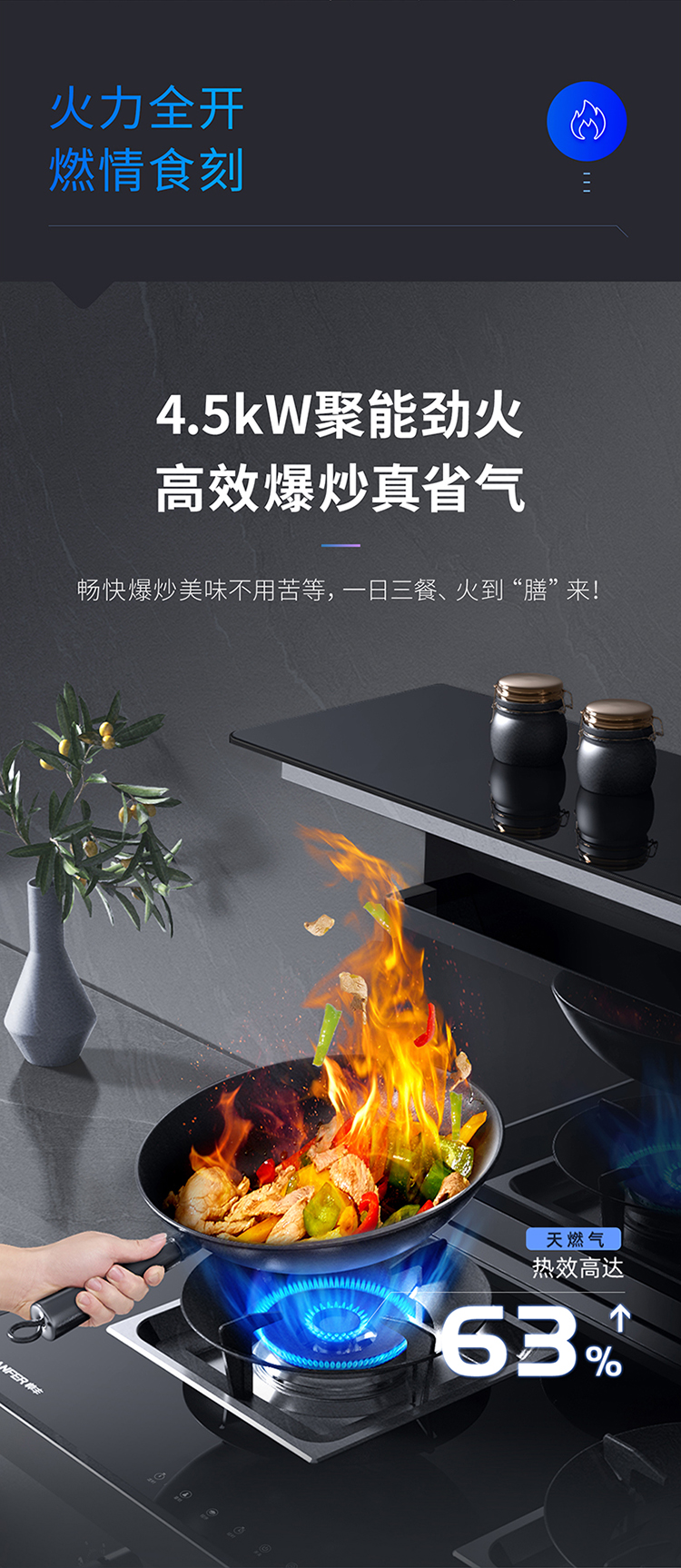 YE2蒸烤一体