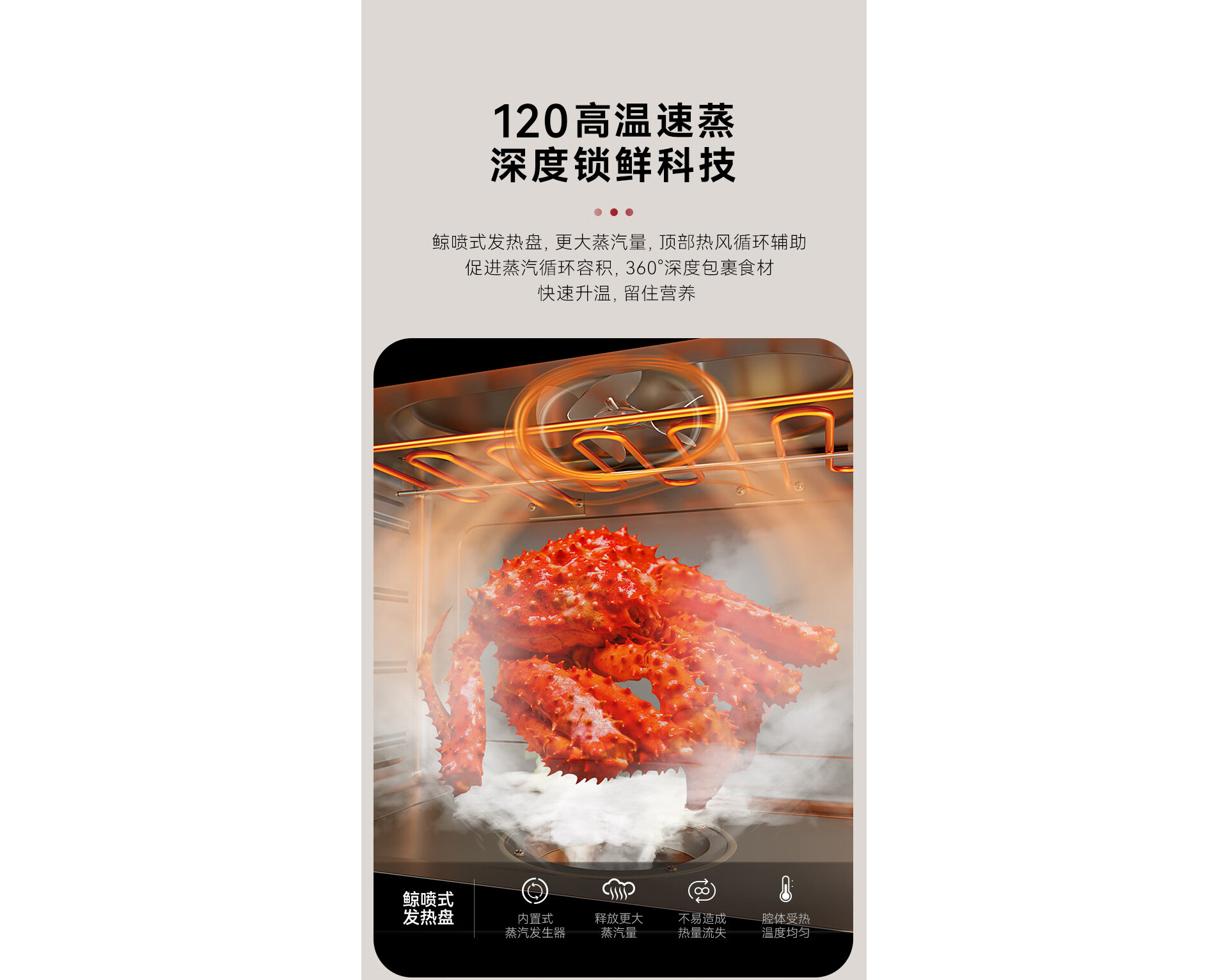 TJ1蒸箱款