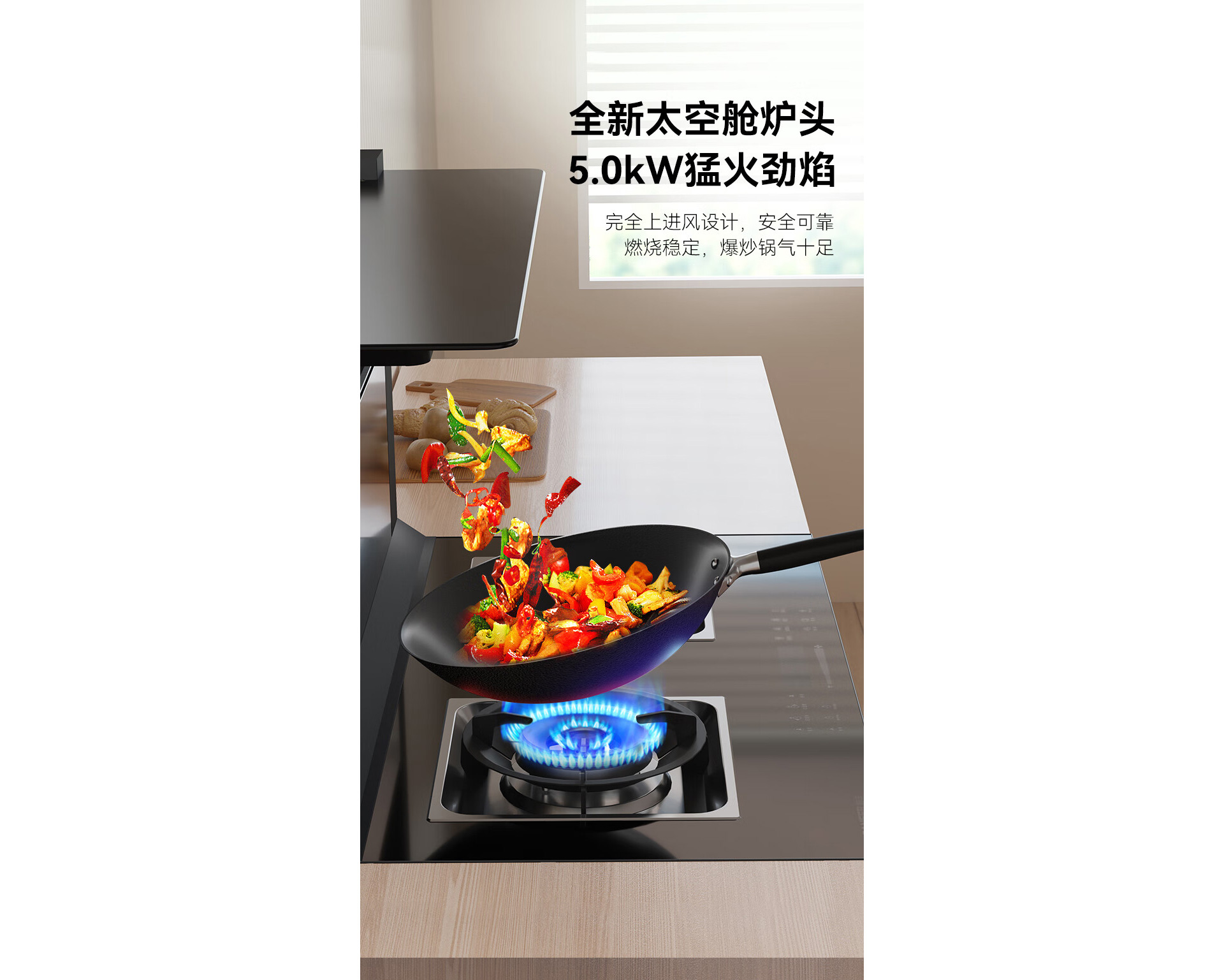 TJ1蒸箱款