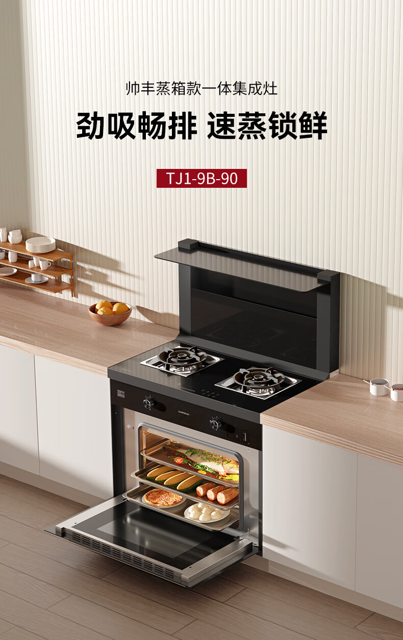 TJ1蒸箱款