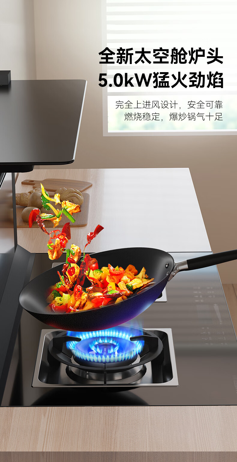 TJ1蒸箱款
