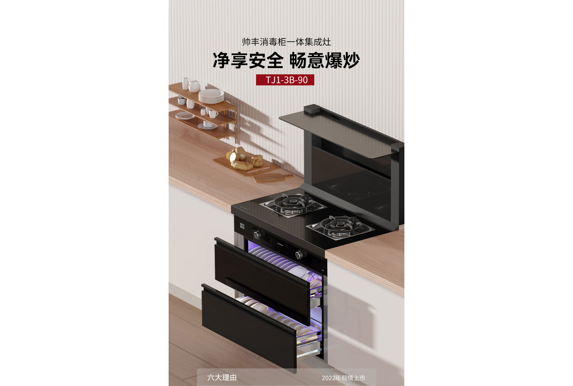 TJ1消毒柜款集成灶