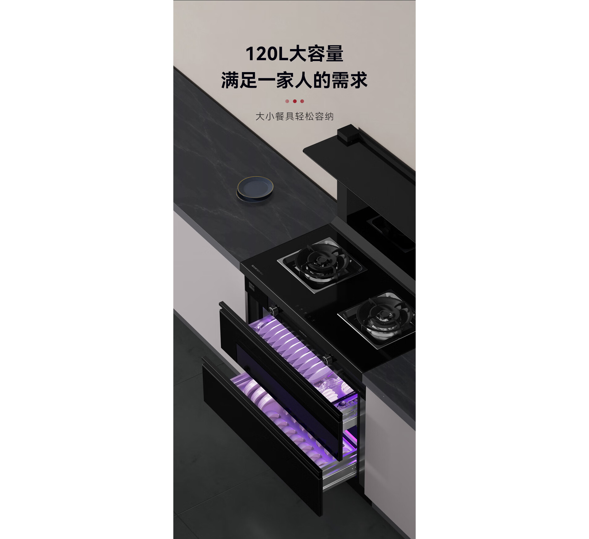 TJ1消毒柜款集成灶
