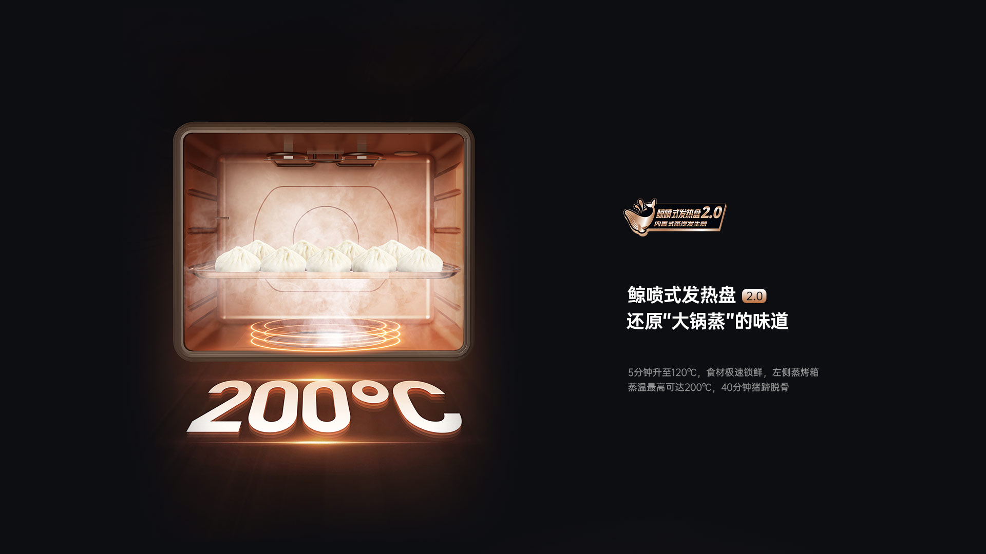 帅丰星辰X1双子星蒸烤独立(100Pro)集成灶