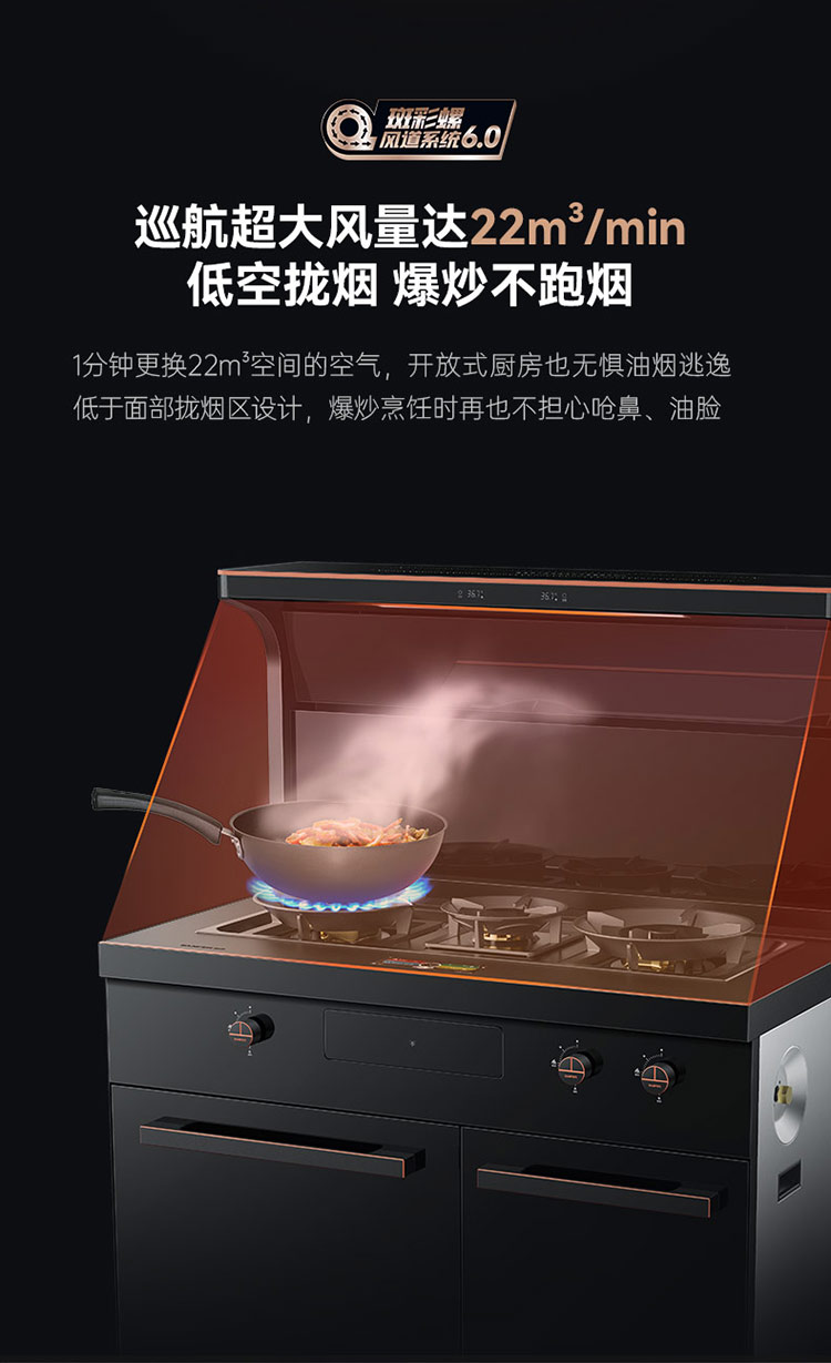 帅丰星辰X1双子星蒸烤独立(100Pro)集成灶