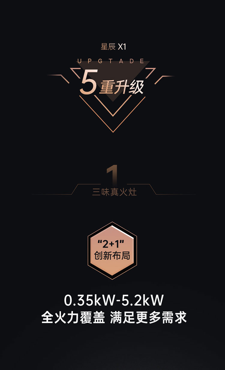 帅丰星辰X1双子星蒸烤独立(100Pro)集成灶