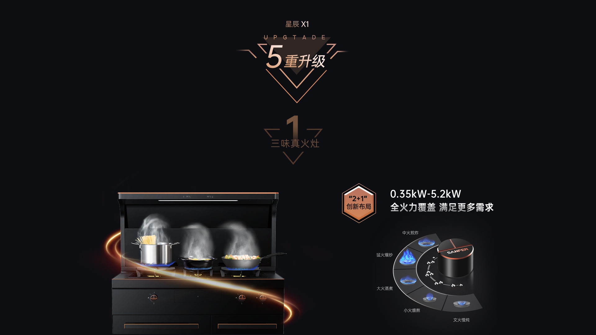 帅丰星辰X1双子星蒸烤独立(100Pro)集成灶