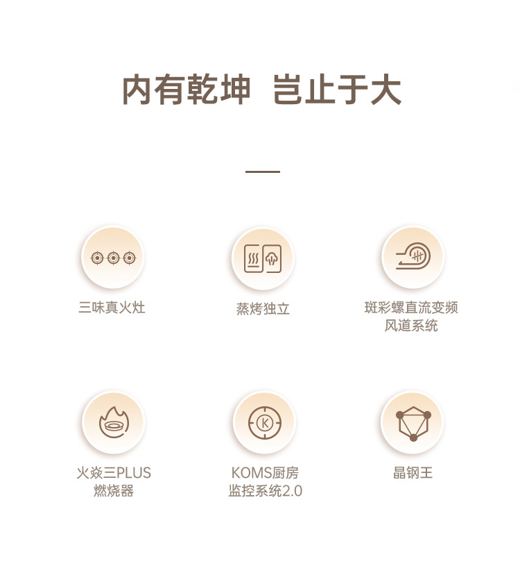 帅丰S69蒸烤独立集成灶