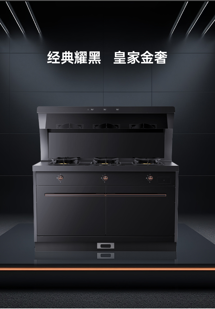 帅丰S69蒸烤独立集成灶