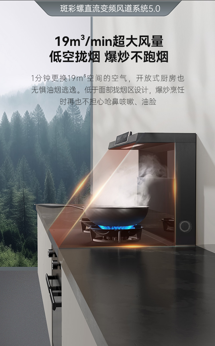 帅丰天机3蒸烤独立（黑）集成灶