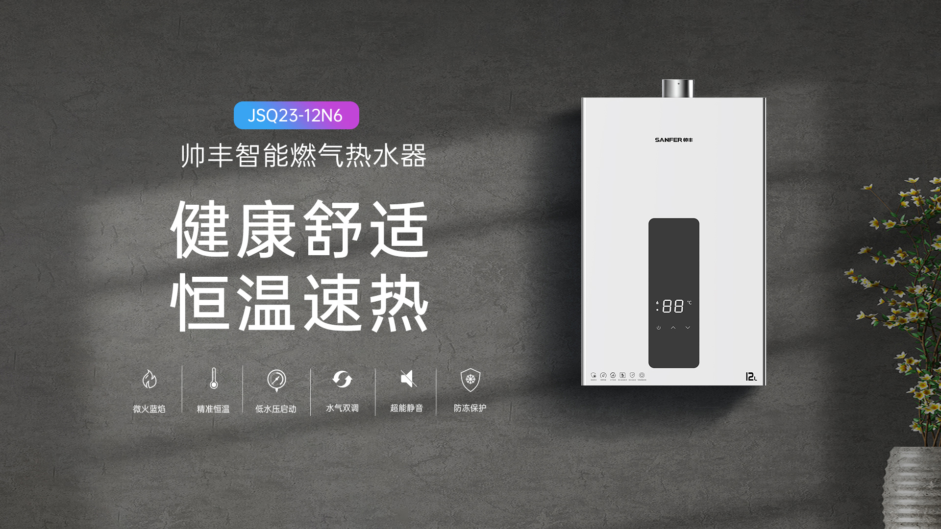 帅丰JSQ23-12N6