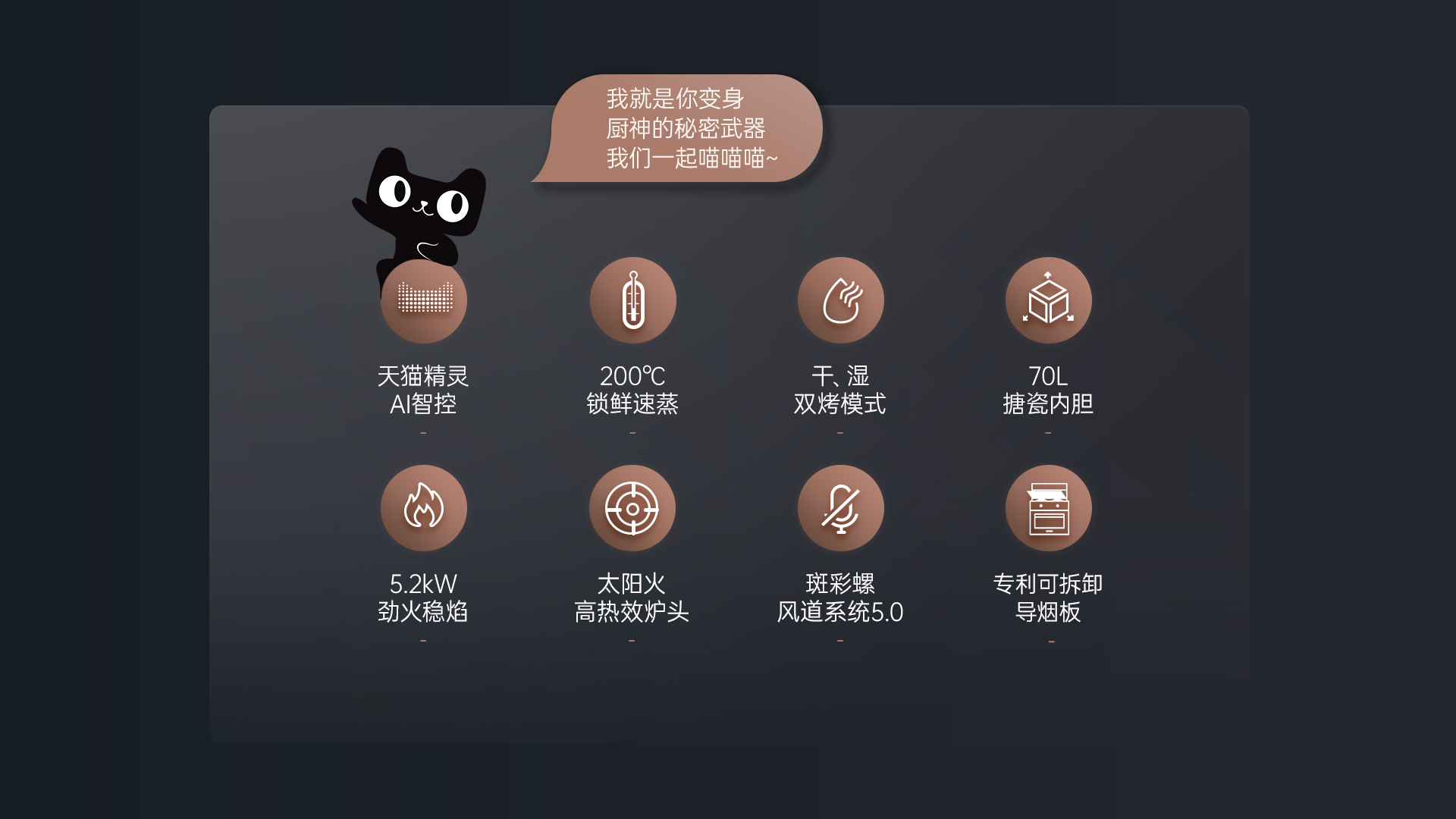帅丰T1蒸烤一体集成灶