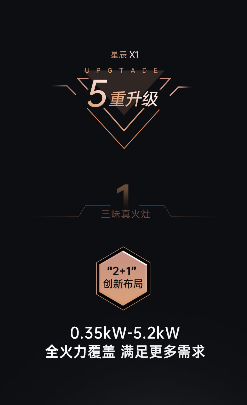 帅丰星辰X1双子星蒸烤独立(100Pro)集成灶