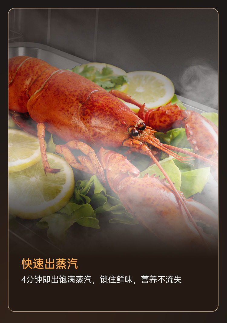 帅丰ZK7嵌入式蒸烤箱经典款集成烹饪中心